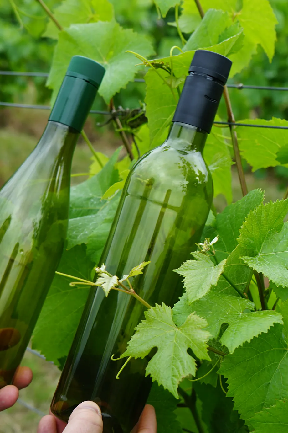 PET Plastic Bottle Materials