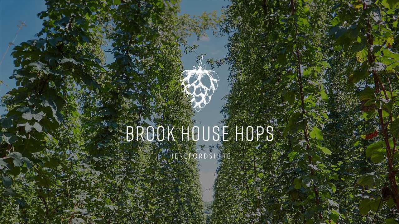 Brook House Hops Herefordshire