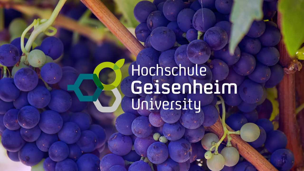Hochschule Geisnheim University Wine Study